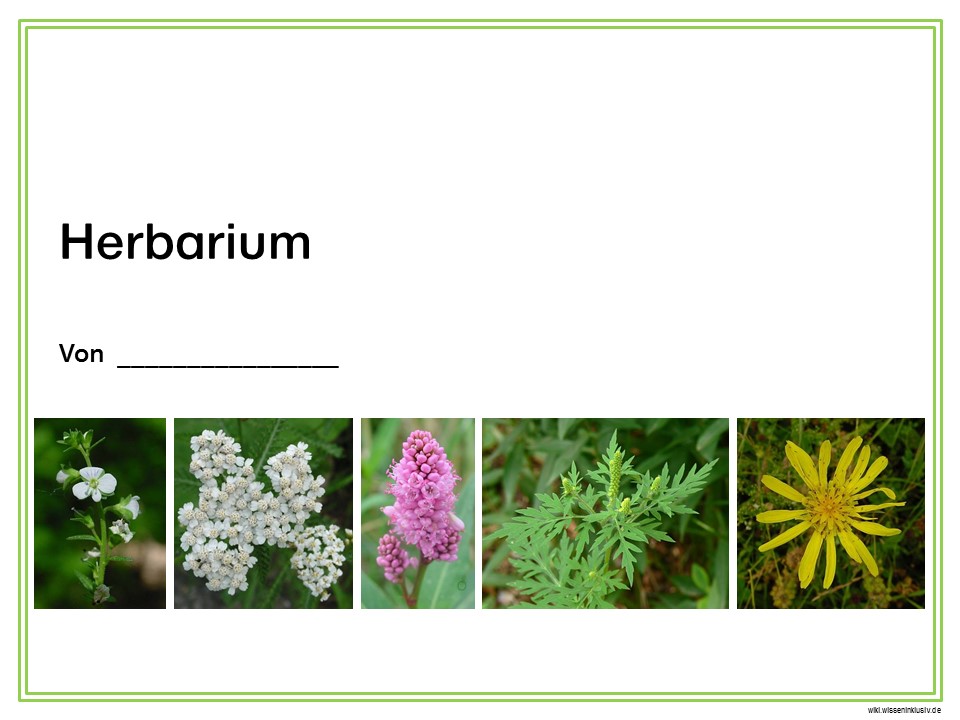 Herbarium Deckblatt Vorschläge Materialien Grundschule Wiki