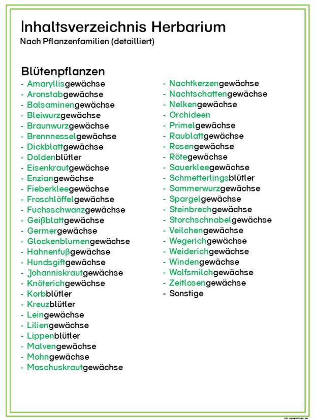 herbarium inhaltsverzeichnis  blütenpflanzen