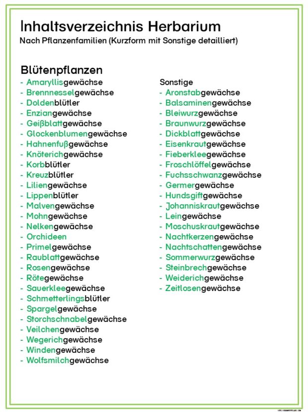 herbarium-inhaltsverzeichnis-bluetenpflanzen-nach-pflanzenfamilien-kurzform-und-sonstiges
