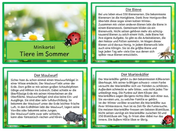 Minikartei Tiere im Sommer Ideenreise
