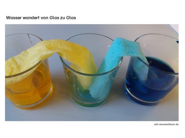 Kappilareffekt, Wasser wandert von Glas zu Glas